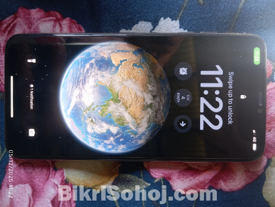 iPhone XS MAX (256 GB)